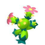 Maractus