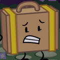 Suitcase (Inanimate Insanity)